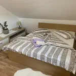 Teja Apartment Brezovec