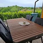 Apartment Teja Brezovec