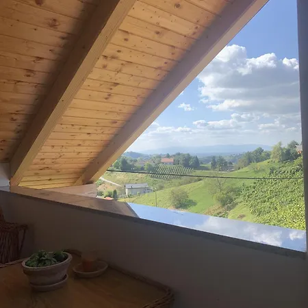 Teja Apartment Brezovec