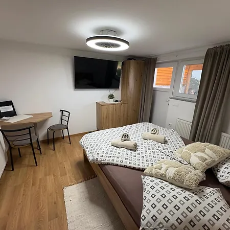 Apartment Teja Brezovec